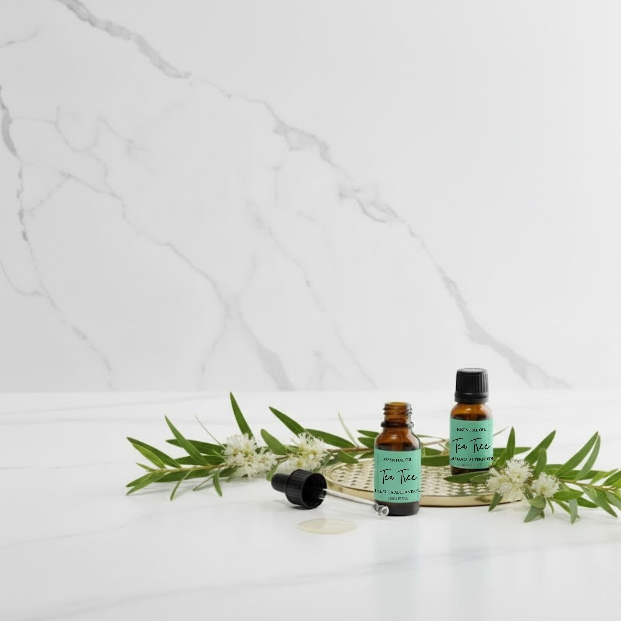 Mood Balancing Essential Oil Set | 12-Oil Aromatherapy Ritual